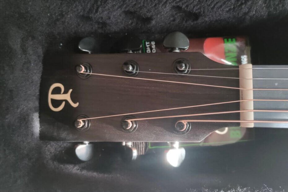 Phoebus PG 30 NCE Headstock Logo